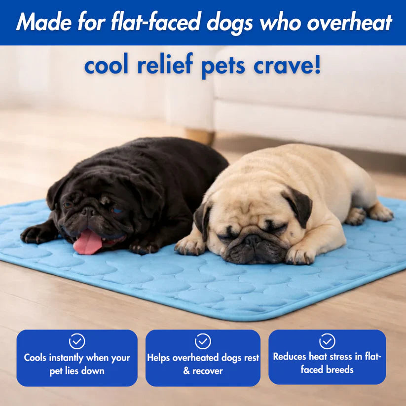Fanyil™ DreamPaws CoolBreath Mat
